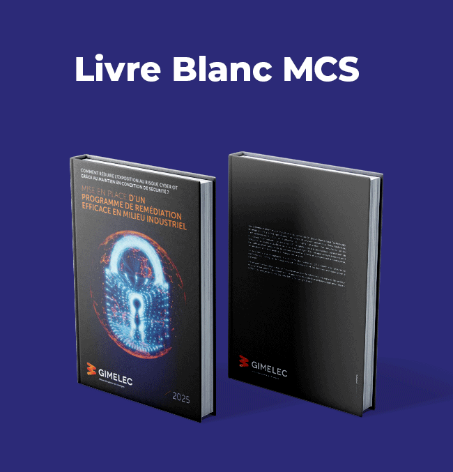 Livre Blanc MCS